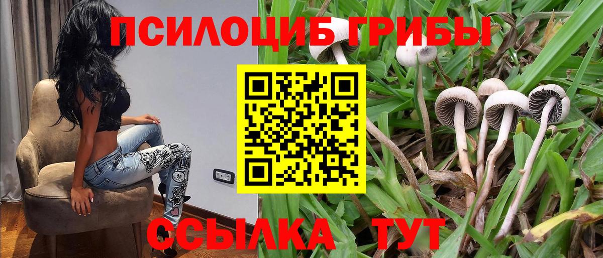 Галлюциногенные грибы Psilocybe  Вход с VPN  Псилоцибиновые грибы прущие грибы  Бузулук 